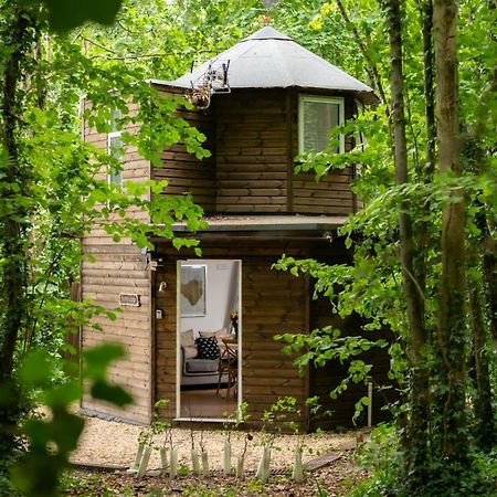 הוילה בלנדפורד פורום Honeycombe - Treehouse In The Heart Of Dorset מראה חיצוני תמונה