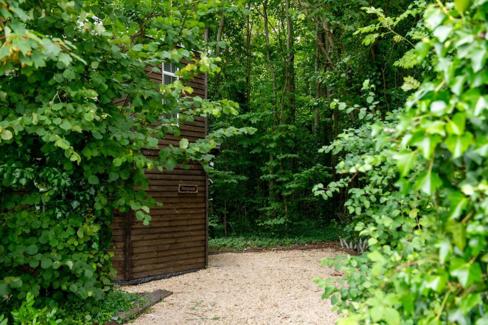 הוילה בלנדפורד פורום Honeycombe - Treehouse In The Heart Of Dorset מראה חיצוני תמונה